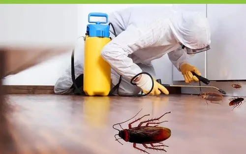 خدمات مكافحة الصراصير في دبي