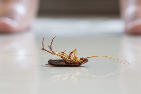 AdobeStock_128215797_1600x1067 AdobeStock_128215797_1600x1067